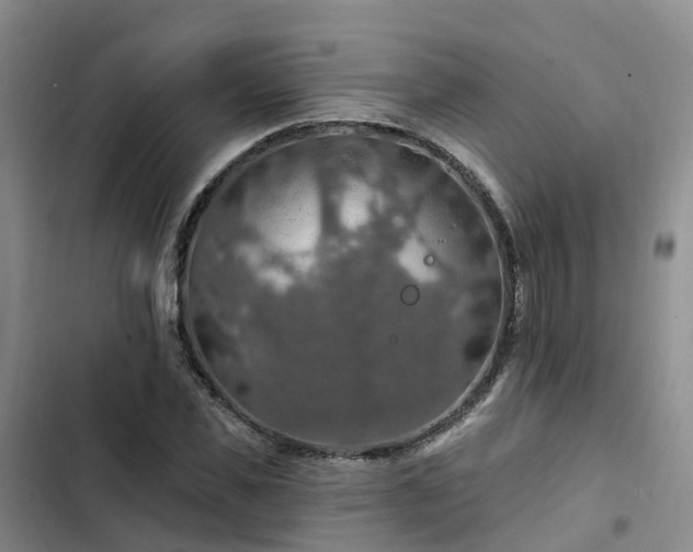 X0000102770925200808251048