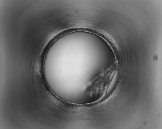 X0000102770926200808251048