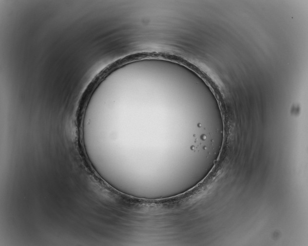 X0000102770927200808251048