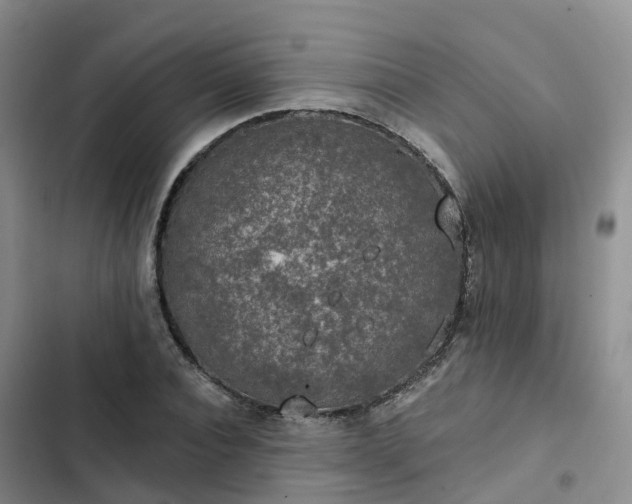 X0000102770928200808251048