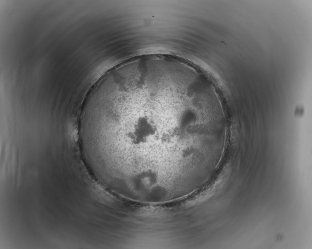 X0000102770929200808251048