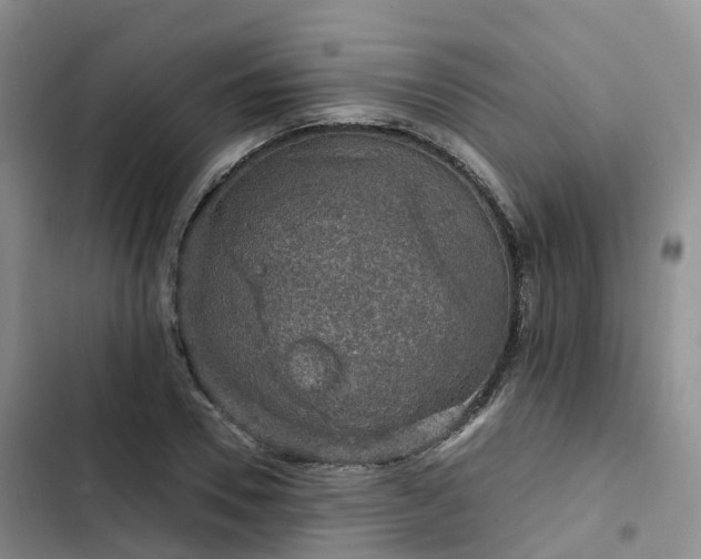 X0000102770930200808251048