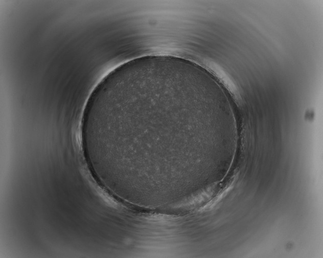 X0000102770932200808251048