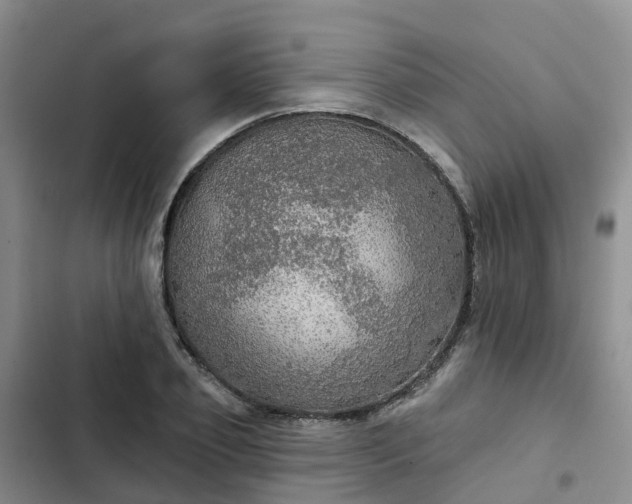 X0000102770933200808251048