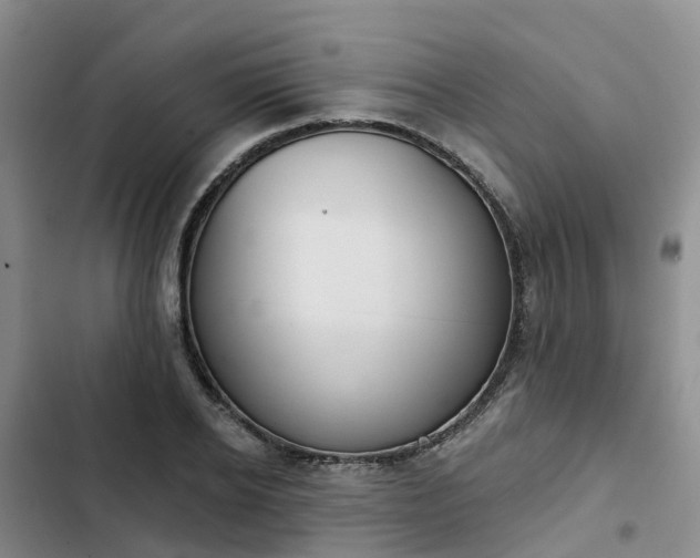 X0000102770934200808251048