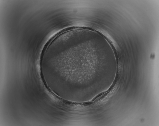 X0000102770935200808251048