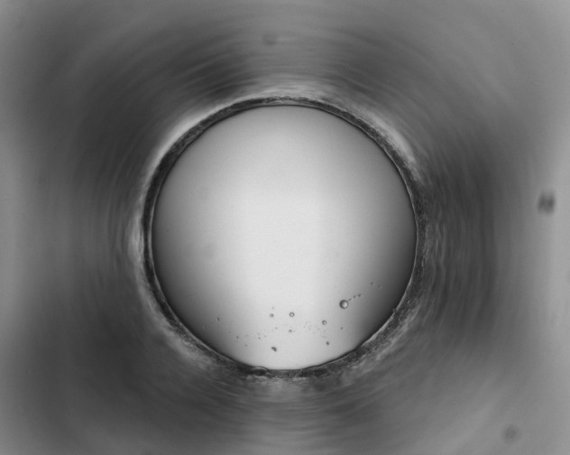 X0000102770936200808251048