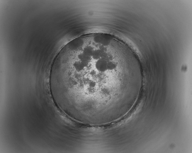 X0000102770937200808251048