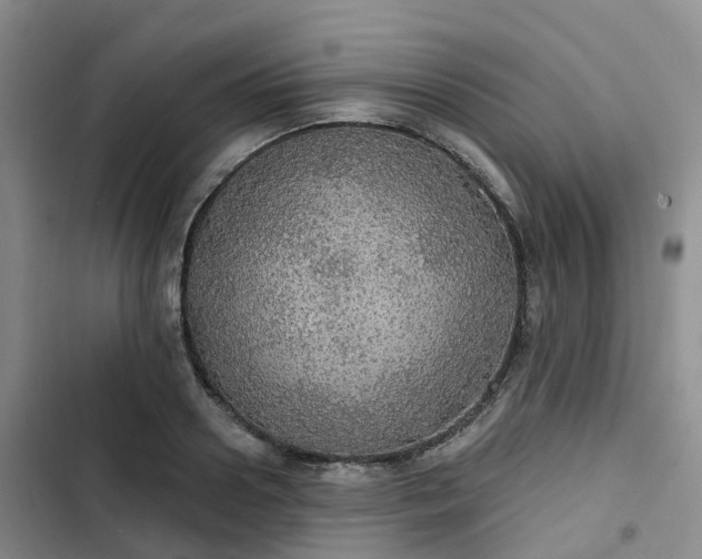 X0000102770938200808251048