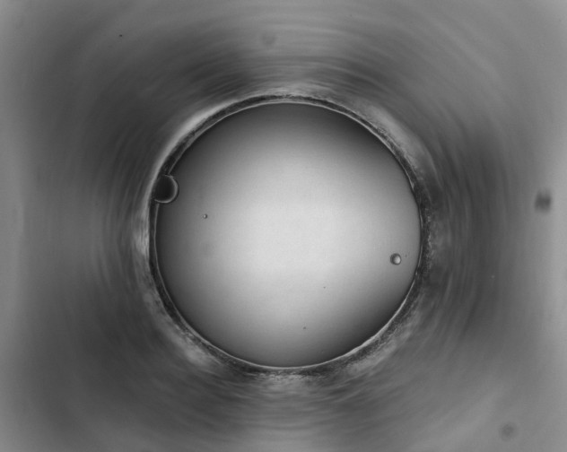 X0000102770940200808251049