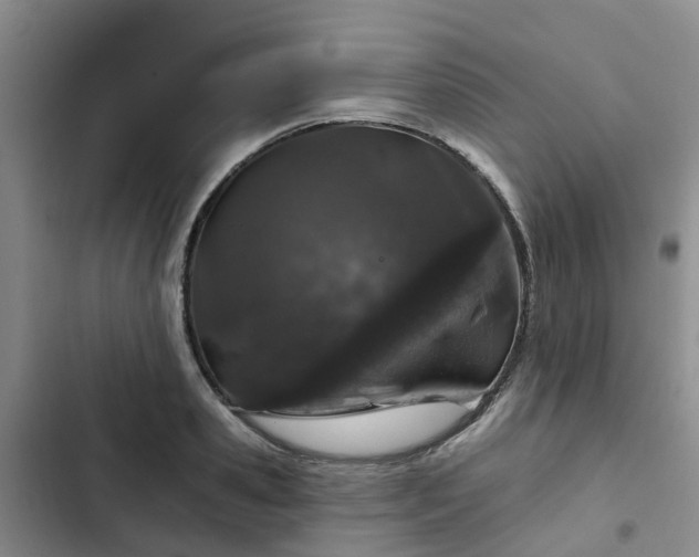 X0000102770941200808251049