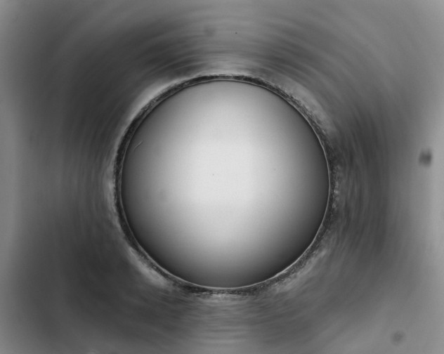 X0000102770942200808251049