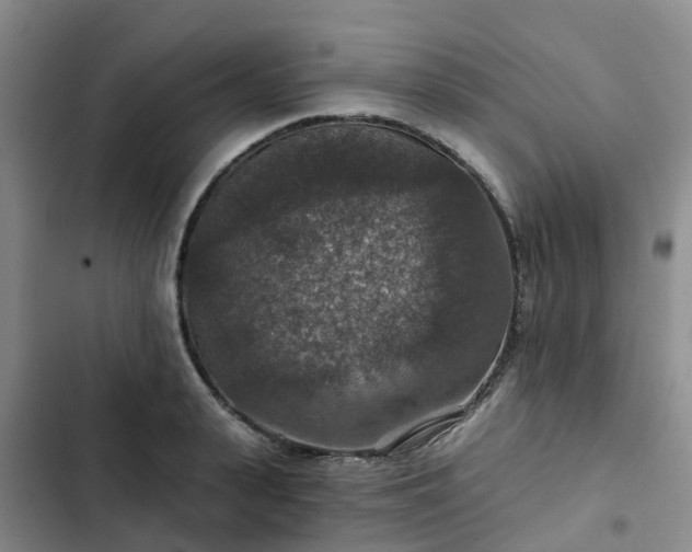 X0000102770943200808251049