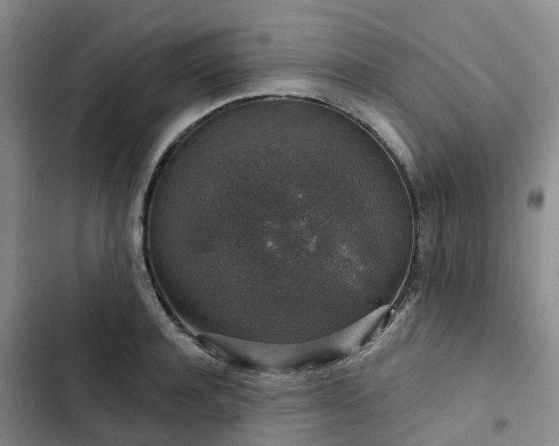 X0000102770944200808251049