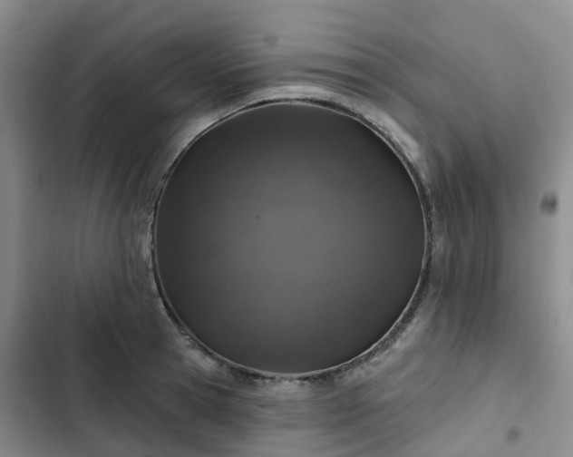 X0000102770945200808251049