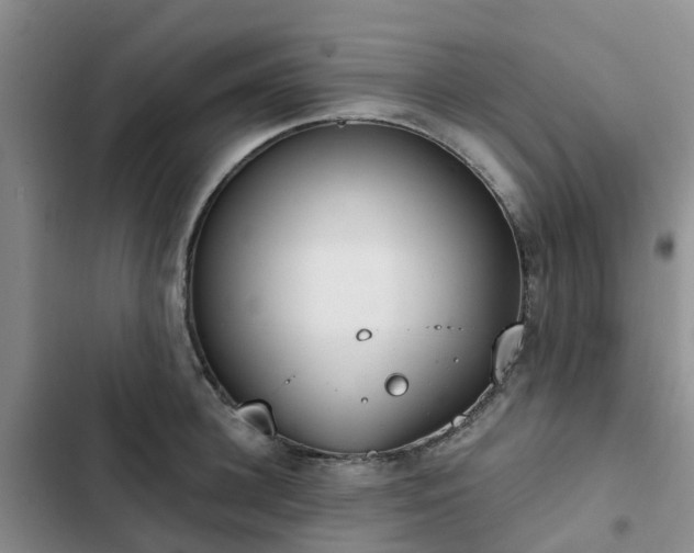 X0000102770948200808251049