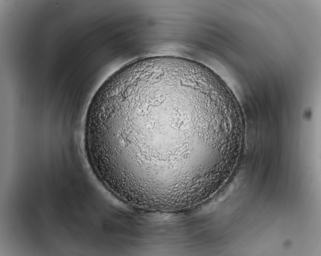 X0000102770949200808251049