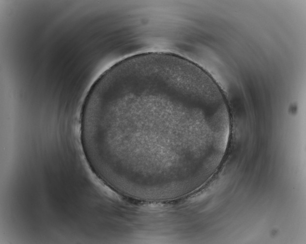 X0000102770950200808251049