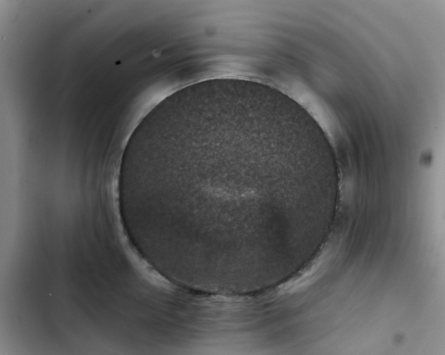 X0000102770954200808251049