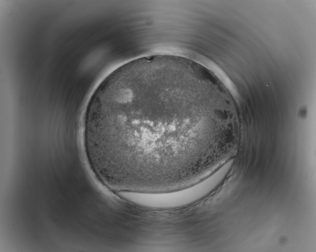 X0000102770955200808251049