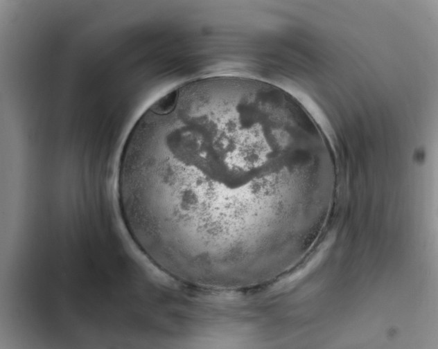 X0000102770957200808251049