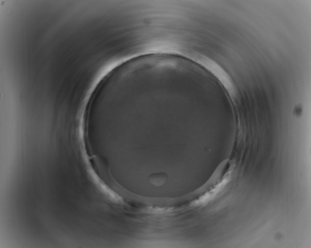 X0000102770958200808251049