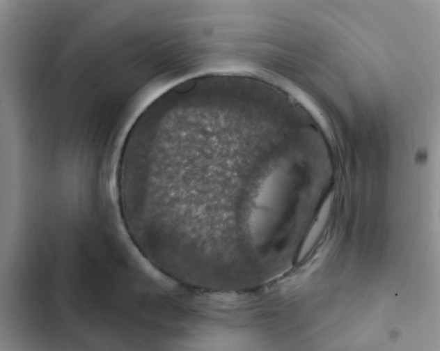 X0000102770959200808251049