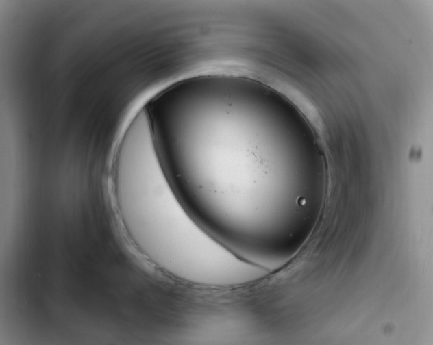 X0000102770960200808251049