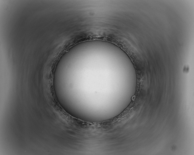 X0000102770961200808251048