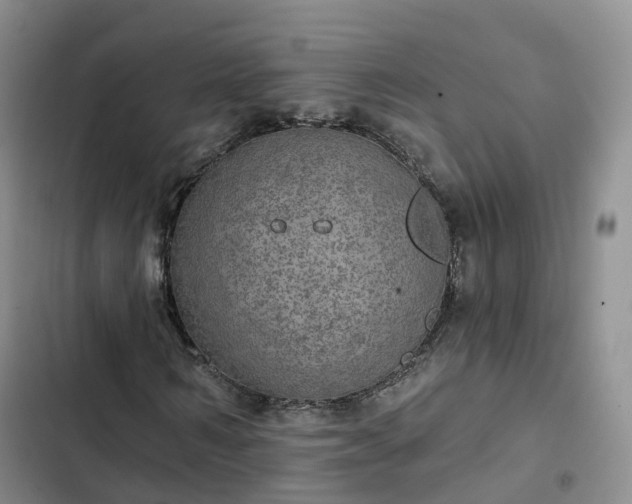 X0000102770962200808251048