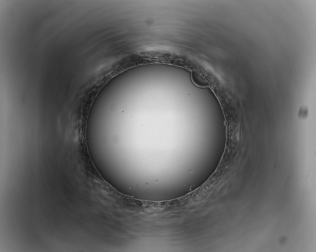 X0000102770965200808251048