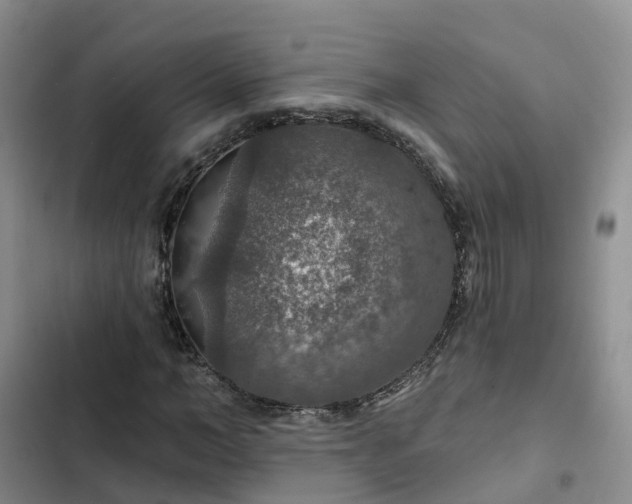 X0000102770966200808251048