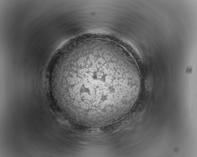 X0000102770968200808251048