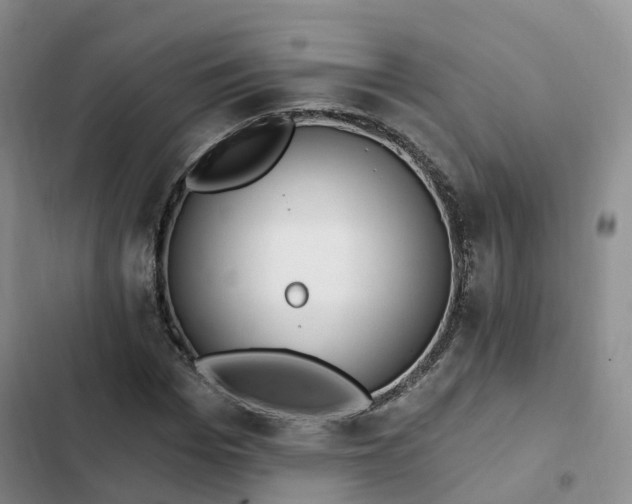 X0000102770969200808251048