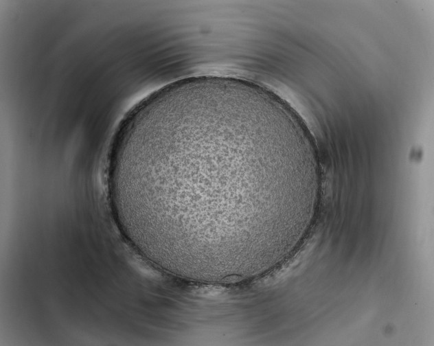 X0000102770971200808251048