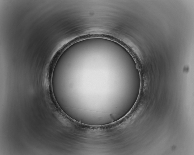 X0000102770973200808251048