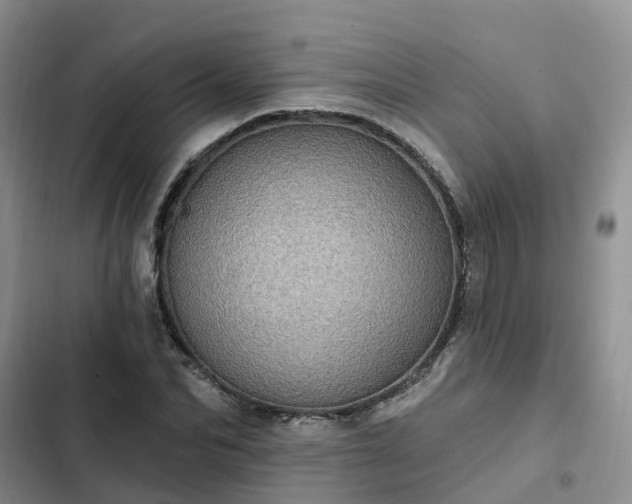 X0000102770974200808251048