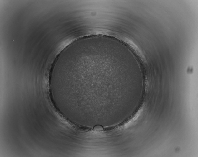 X0000102770977200808251048