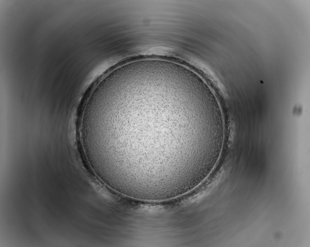 X0000102770978200808251048