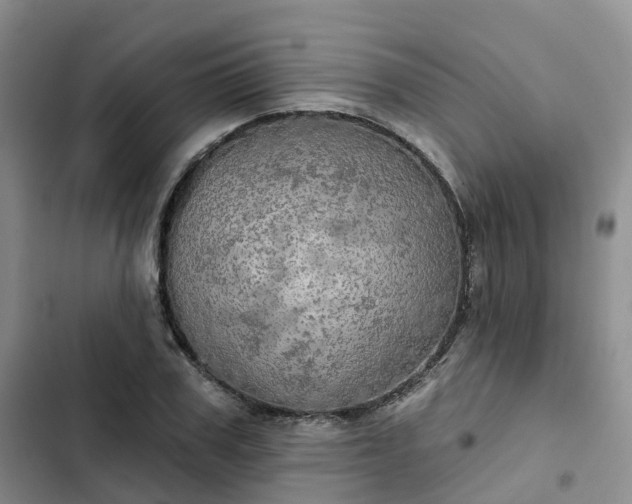 X0000102770979200808251048