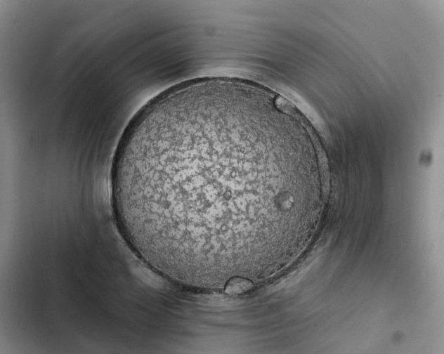 X0000102770980200808251048