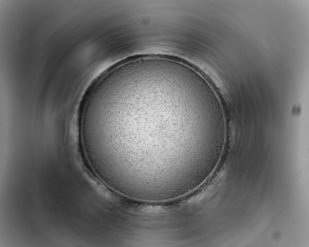 X0000102770982200808251048