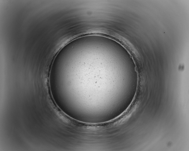 X0000102770985200808251048