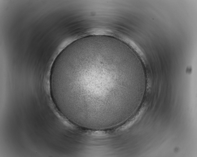 X0000102770986200808251048