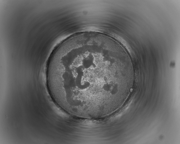 X0000102770987200808251048