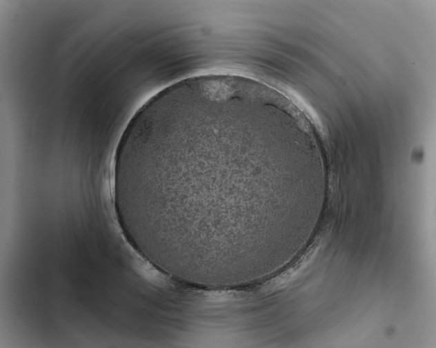 X0000102770988200808251048