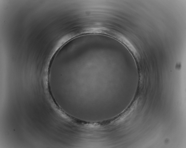 X0000102770994200808251048