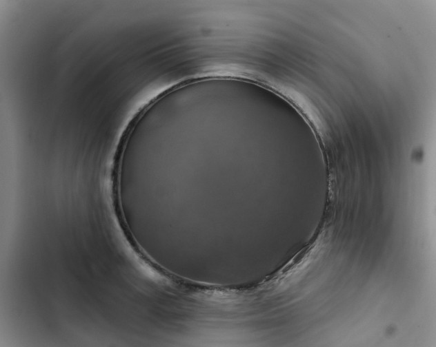 X0000102770995200808251048