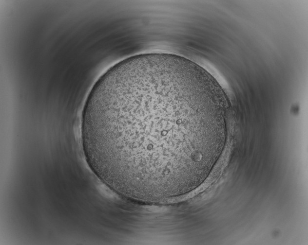 X0000102770996200808251048