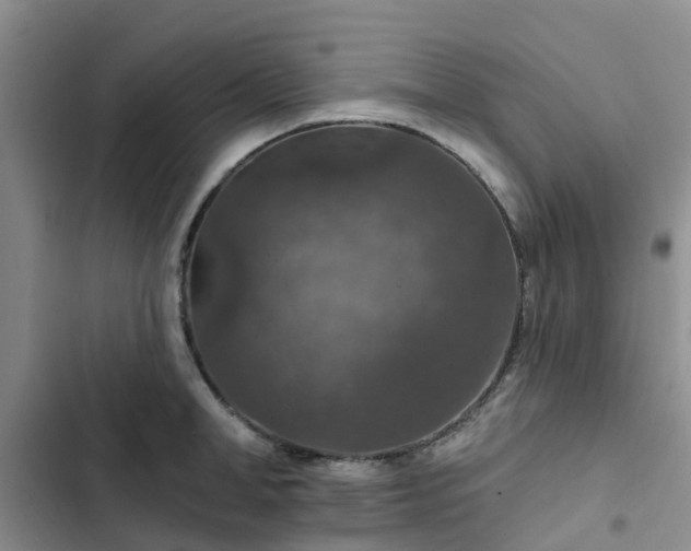 X0000102770998200808251048